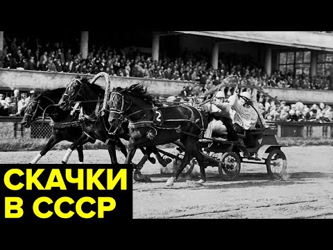 Кровавые скачки в СССР. Тотализатор, черные букмекеры и «зарядчики»