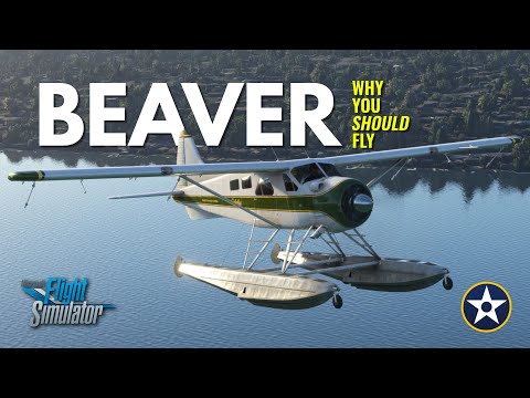 Why You Should Fly the DHC-2 Beaver in Microsoft Flight Simulator