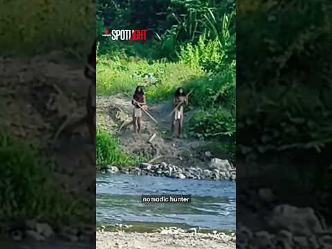 Indonesia's Hongana Manyawa people face extinction as EV and mining companies search for nickel