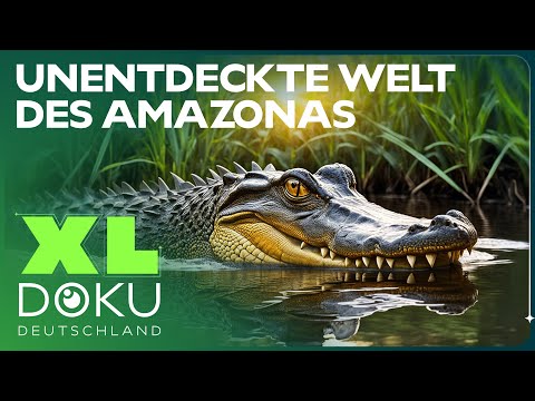 Geheimnisse im Amazonas Regenwald - Expedition am Essequibo | XL Doku Deutschland