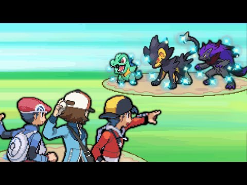 I Caught a Pokemon Using Every Shiny Hunting Method