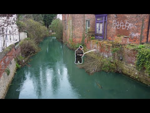 Big Trout Live in This polluted City Stream