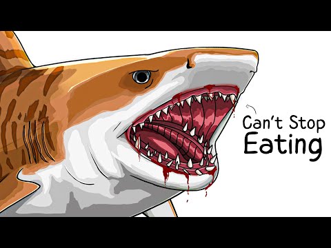 Why it Sucks To Be Born As a Tiger Shark