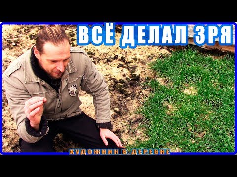 В этот выпуск ХУДОЖНИК В ДЕРЕВНЕ я вложил всю ДУШУ - Вы согласны