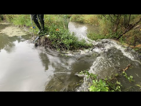 Beaver Dam Which Became A Waterfall!
