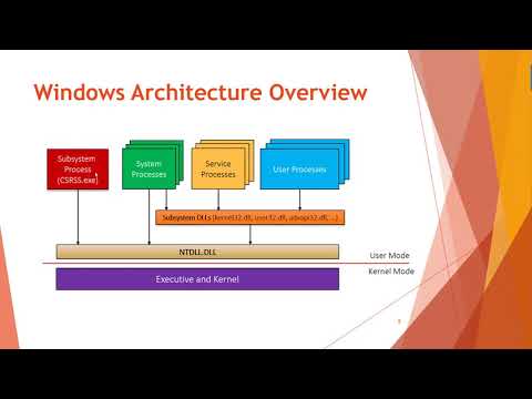 Native Applications: What, Why, and How?