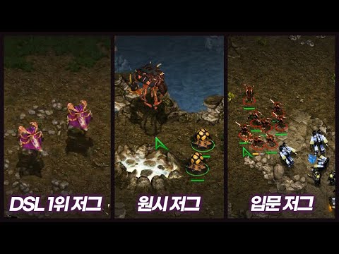 저그 3형제 [스타크래프트]