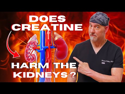 Does Creatine Damage the Kidneys?  An ER Doctor Explains