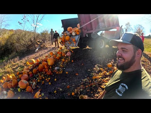 A good, but strange day on the Farm