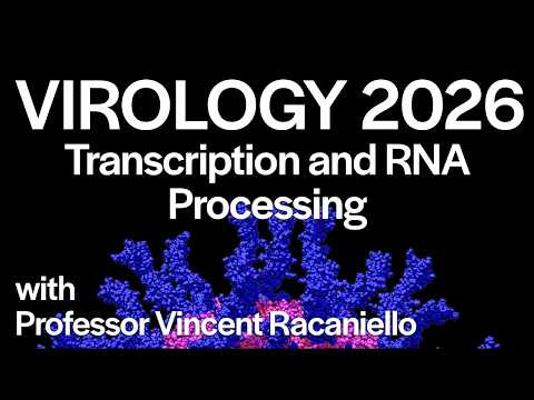Virology Lectures 2026 #7: Transcription and RNA processing