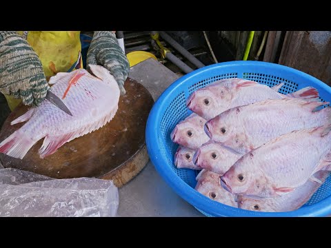 Mouthwatering！Steamed Fish Head, Claypot Grouper Head Making/鮮甜美味！砂鍋石斑魚頭, 醬蒸大頭鰱/光仔生煲石斑魚頭