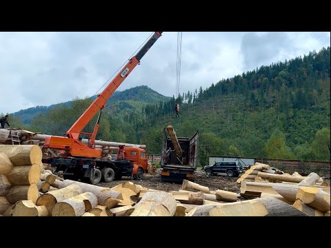 8 TRUCKS in 2 DAYS! We Shipped the TITAN LOG HOUSE (15x25m, $\diameter$40cm) to Slovakia! Part 2