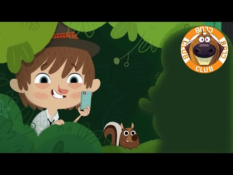 What A Scoop! | Floopaloo | Zig & Sharko's Club | Cartoon Collection | New Episodes in HD