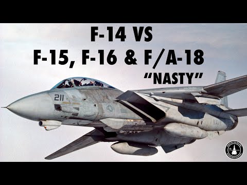 F-14 vs F-15, F-16 & F/A-18 | Mike "Nasty" Manazir (Full)