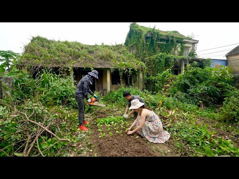 Shock overgrown grass after storm ruined her dream garden | we were surprised when we stepped inside