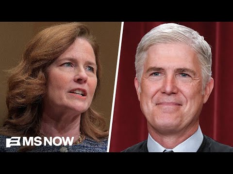 Justices Gorsuch and Barrett question U.S. Solicitor General's argument