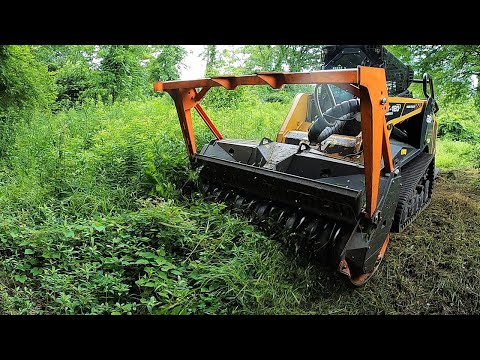 GREEN BE GONE! 3 CITY LOTS ARE OVERGROWN AND NEED MOWING ASAP!