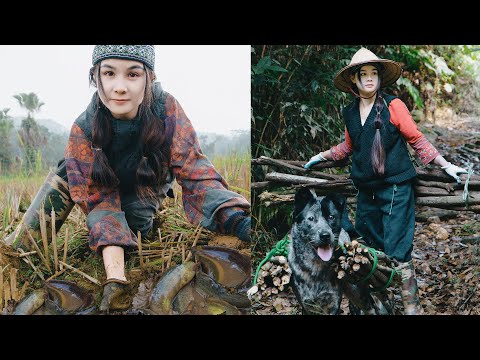 Harvested in the wild: catch the type of fish that hides underground.