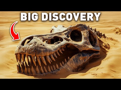 MEGARAPTOR Fossils Found in Australia—Scientists Are SHOCKED!