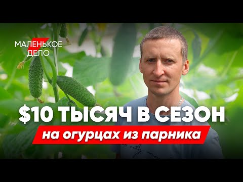 Живет в теплице и выращивает огурцы
