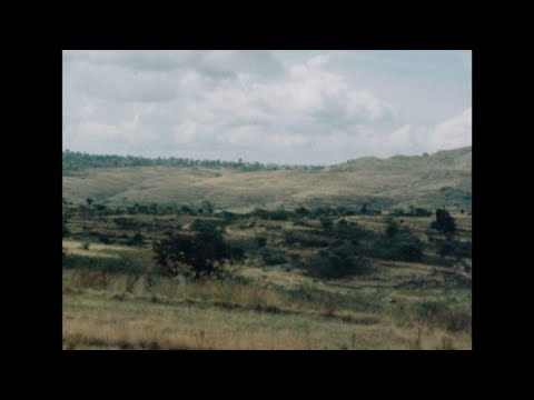 RR7809A OGADEN: CAN THE SOMALIS HOLD ON?