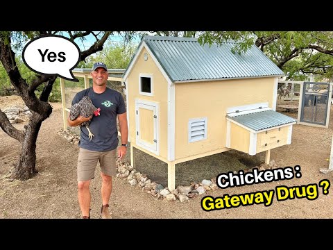 Chickens: The Gateway Drug To Self Reliant Living