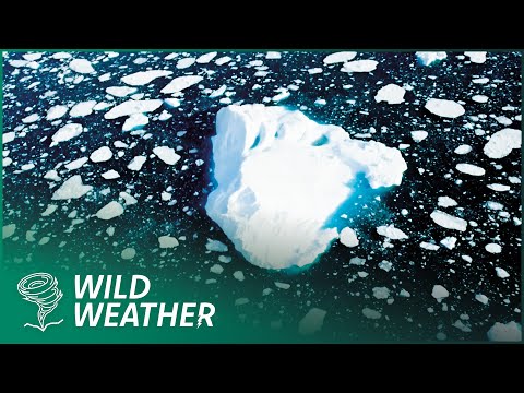 ICEBERGS: Climate's Ultimate Warning Signal