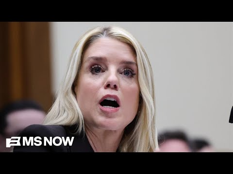 'Theatrics were so bad' at Bondi hearing SNL writers will be out of a job: Journalist