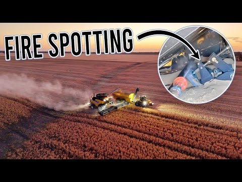 The Chickpeas are Giving us Trouble! | Harvest 2025 Ep 5 | Vlog 433