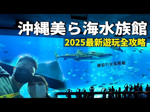 🐋 【沖繩】美ら海水族館｜2025最新遊玩交通全攻略｜邂逅九米長鯨鯊、巨型鬼蝠魟、免費海豚表演｜Y先生一家｜4K