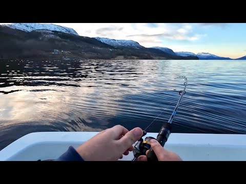 ЧТО клюет в Норвегии зимой?! ОСЬМИНОГ!!!Зимняя рыбалка в Норвегии с лодки 2025-2026