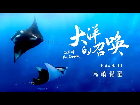 《大洋的召喚》三部曲_島嶼覺醒_4K SDR《聚焦全世界》第54期｜Call of the Ocean : Episode III Awakening of Islands｜舒夢蘭
