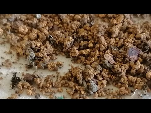 فحص تبر الذهب