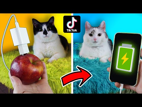 Проверили ЛАЙФХАКИ из ТИКТОКА..**КАК ЭТО РАБОТАЕТ** l ЛАЙФХАКИ на ДЕНЬ СВ. ВАЛЕНТИНА