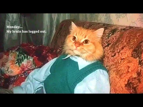 𝐏𝐥𝐚𝐲𝐥𝐢𝐬𝐭 Inject Caffeine Into My Ears 💉 Chill yet slightly upbeat emotional Hip-hop · 𝐂𝐡𝐢𝐥𝐥𝐩𝐨𝐩 · 𝐑𝐧𝐁