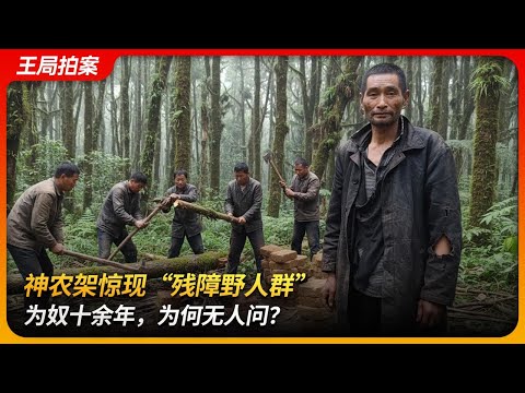 神农架惊现“残障野人群”：为奴十余年，为何无人问？｜野人｜上官正义｜黑砖窑｜强迫劳动｜王局拍案 重制版20251106
