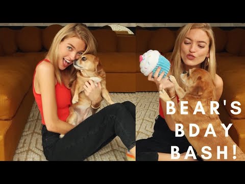 Storytime with my Dog Bear | Martha Hunt