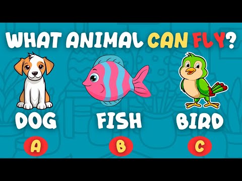 Guess the Animal, Color & Fruit! | Fun Quiz Game for Kids & Toddlers