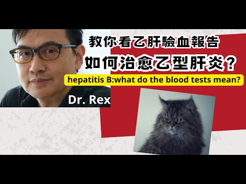 如何治瘉乙型肝炎？教你看驗血報告hepatitis B blood tests