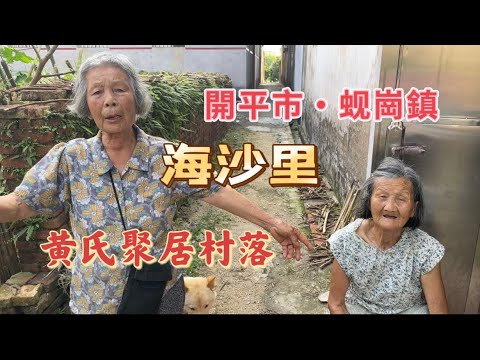 台山百曉：今次分享嘎視頻是開平市蚬崗鎮一條黃氏聚居村落～海沙里！受到一位鄉里委託回來這條村尋找她嫲嫲曾經生活過的地方，幸運嘎是我們找到了祖宅，不幸嘎是已經物是人非！#开平 #kaiping #abc
