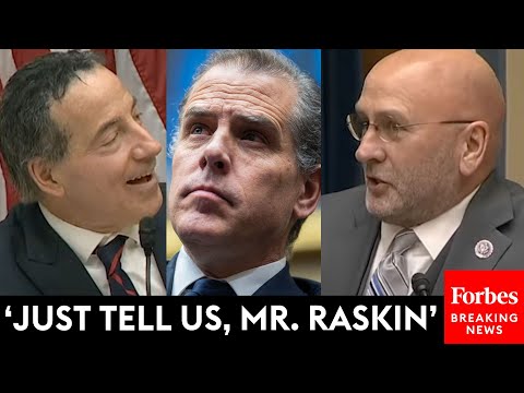 Clay Higgins And Jamie Raskin Outright Debate Hunter Biden's Demand For Public Hearing