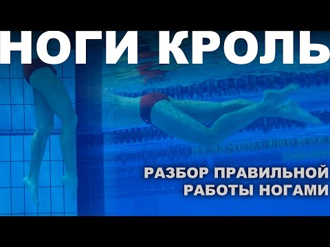 КАК ПЛАВАТЬ ЛЕГЧЕ И БЫСТРЕЕ: ИДЕАЛЬНАЯ ТЕХНИКА РАБОТЫ НОГ В КРОЛЕ
