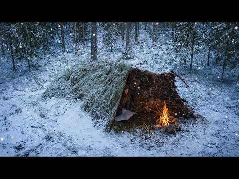 Surviving a Freezing Winter Night in a Bushcraft Shelter