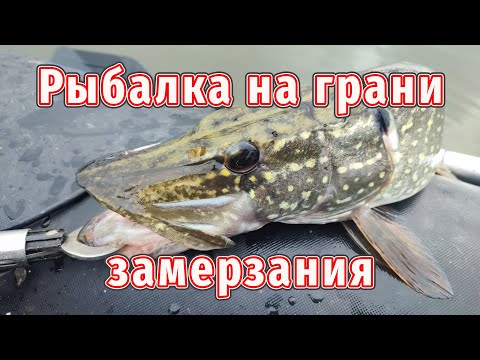 Spinning fishing on the verge of freezing!