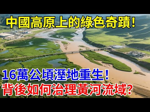 中國52億若爾蓋山水治理，高原上的綠色奇蹟！16萬公頃濕地重生！背後如何治理的黃河流域？#治理工程#退耕還濕#生態保護#山水治理#超級工程