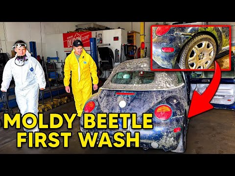 Super Moldy BIOHAZARD VW BEETLE Satisfying DISASTER Detailing Transformation