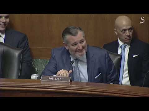 Ted Cruz, Cory Booker have tense exchange during Senate hearing tied to Trump's executive powers