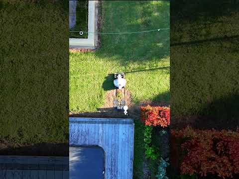 Luba re-charging over a path #luba #robotmower #robomate #shorts