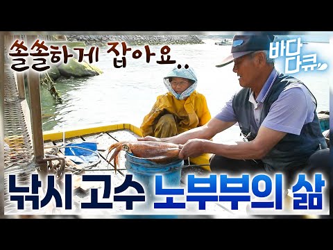 문어에 광어에 오징어에.. 종목 안 가리고 잘 잡는 오지마을 노부부의 인생 / #바다다큐