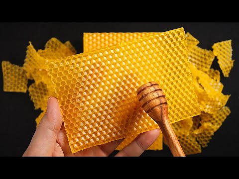 ASMR Best Collection for 100% Guaranteed Sleep ⭐ (No Talking)